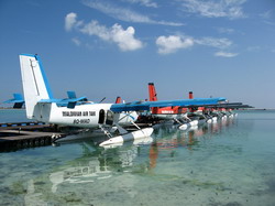 maldiv1 