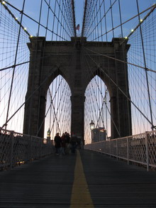 ny3 